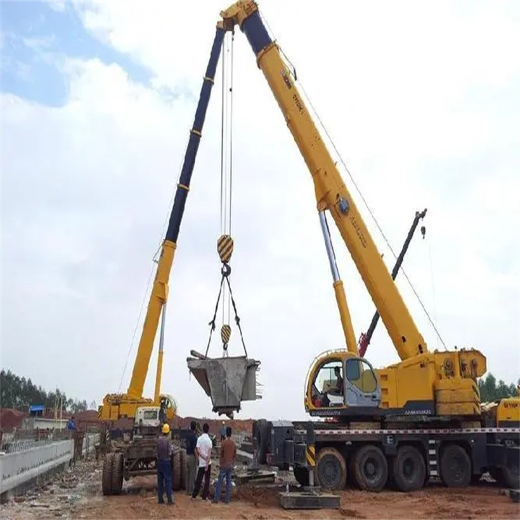 大朗镇小型吊机出租电话|厂房设备吊装方案|24小时服务覆盖