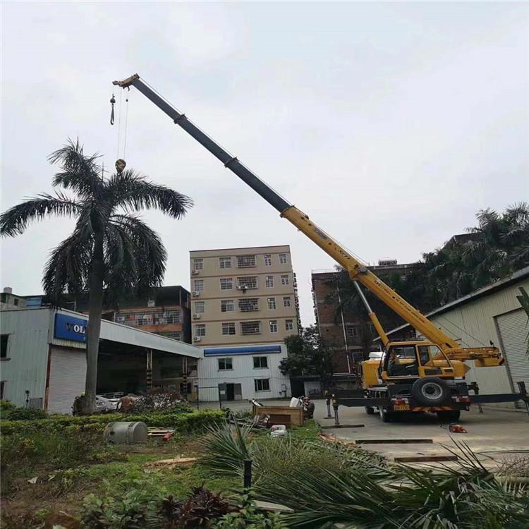 大朗镇树木移栽装卸